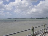 Rangitoto Island from Westhaven