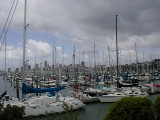 Rangitoto Island from Westhaven