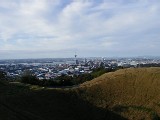 from Mt. Eden