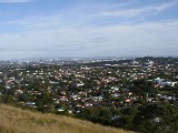 from Mt. Eden