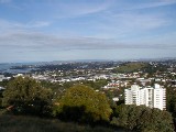 from Mt. Eden