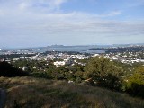 from Mt. Eden