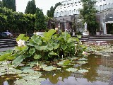 ドメインの中の植物園